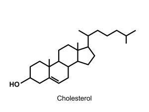 Cholesterol molecule